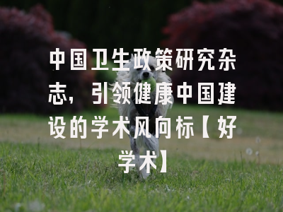 中国卫生政策研究杂志，引领健康中国建设的学术风向标【好学术】