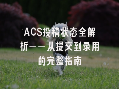 ACS投稿状态全解析——从提交到录用的完整指南