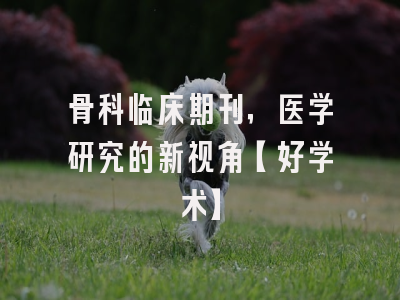 骨科临床期刊，医学研究的新视角【好学术】