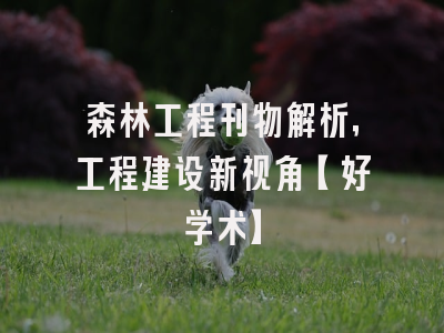 森林工程刊物解析，工程建设新视角【好学术】