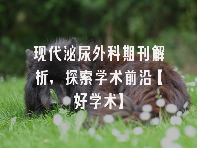 现代泌尿外科期刊解析，探索学术前沿【好学术】