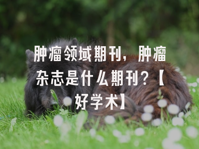 肿瘤领域期刊，肿瘤杂志是什么期刊？【好学术】