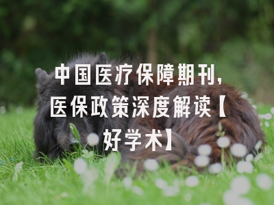 中国医疗保障期刊，医保政策深度解读【好学术】