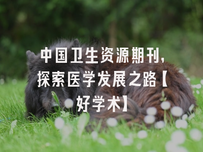 中国卫生资源期刊，探索医学发展之路【好学术】