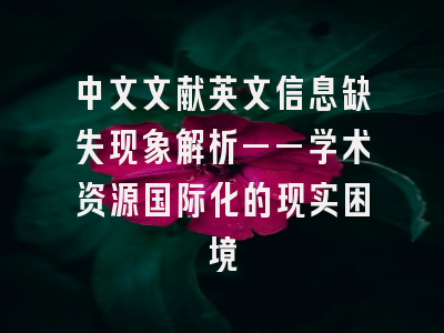 中文文献英文信息缺失现象解析——学术资源国际化的现实困境