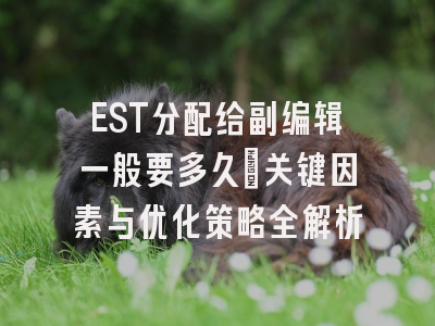 EST分配给副编辑一般要多久_关键因素与优化策略全解析