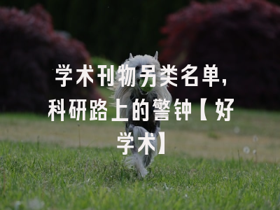 学术刊物另类名单，科研路上的警钟【好学术】