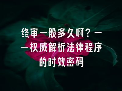 终审一般多久啊？——权威解析法律程序的时效密码