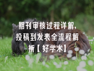期刊审核过程详解，投稿到发表全流程解析【好学术】
