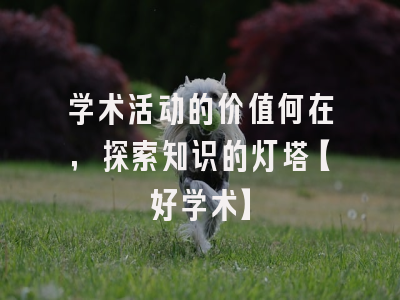 学术活动的价值何在，探索知识的灯塔【好学术】