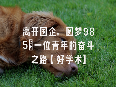 离开国企，圆梦985：一位青年的奋斗之路【好学术】