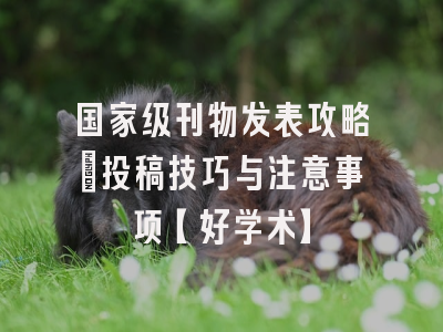国家级刊物发表攻略：投稿技巧与注意事项【好学术】