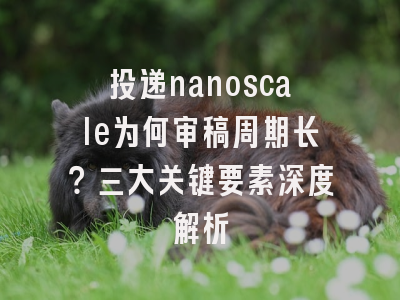 投递nanoscale为何审稿周期长？三大关键要素深度解析