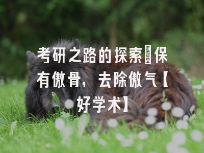 考研之路的探索：保有傲骨，去除傲气【好学术】