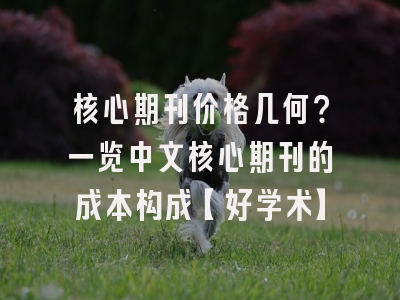 核心期刊价格几何？一览中文核心期刊的成本构成【好学术】