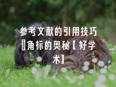 参考文献的引用技巧：角标的奥秘【好学术】