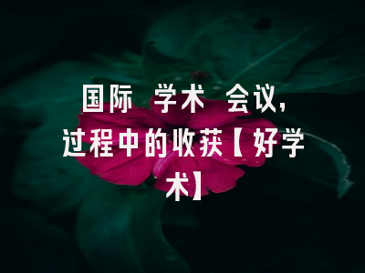 国际 学术 会议，过程中的收获【好学术】