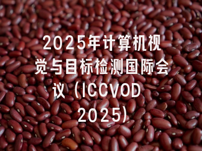 2025年计算机视觉与目标检测国际会议（ICCVOD 2025）