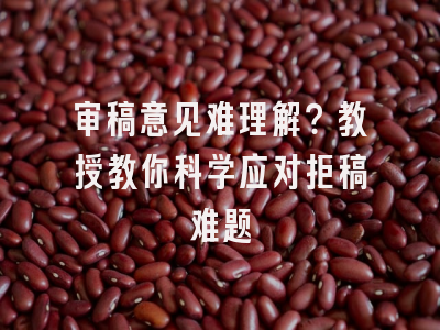 审稿意见难理解？教授教你科学应对拒稿难题