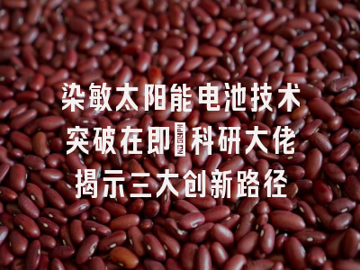 染敏太阳能电池技术突破在即_科研大佬揭示三大创新路径