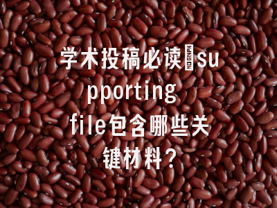 学术投稿必读：supporting file包含哪些关键材料？