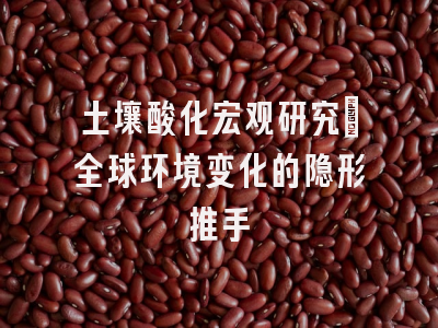 土壤酸化宏观研究：全球环境变化的隐形推手