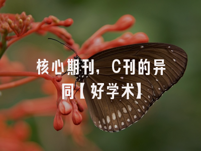 核心期刊，C刊的异同【好学术】