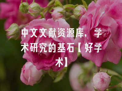中文文献资源库，学术研究的基石【好学术】