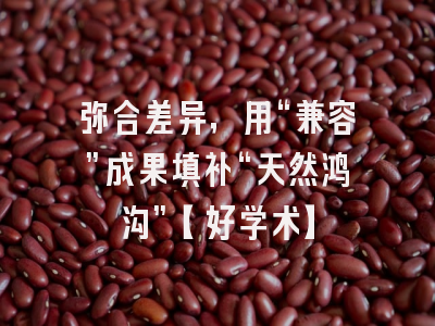 弥合差异，用“兼容”成果填补“天然鸿沟”【好学术】