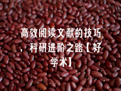 高效阅读文献的技巧，科研进阶之路【好学术】