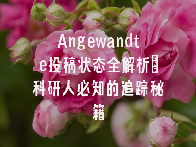 Angewandte投稿状态全解析：科研人必知的追踪秘籍