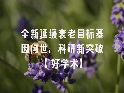 全新延缓衰老目标基因问世，科研新突破【好学术】