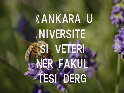《ANKARA UNIVERSITESI VETERINER FAKULTESI DERGISI》：土耳其兽医领域的“学术北斗”_ 投稿全攻略在此揭秘！