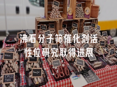 沸石分子筛催化剂活性位研究取得进展