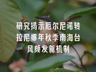 研究揭示厄尔尼诺转拉尼娜年秋季南海台风频发新机制