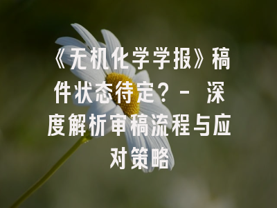 《无机化学学报》稿件状态待定？- 深度解析审稿流程与应对策略