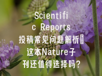 学术会议在线