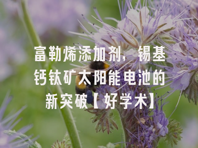 富勒烯添加剂，锡基钙钛矿太阳能电池的新突破【好学术】