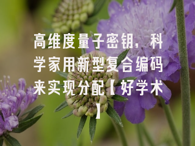 高维度量子密钥，科学家用新型复合编码来实现分配【好学术】