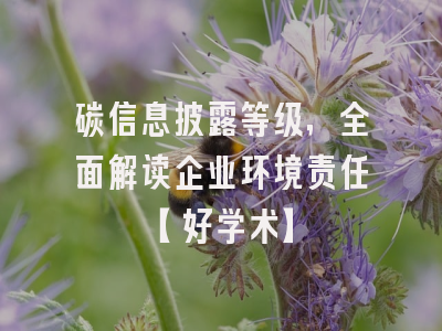 碳信息披露等级，全面解读企业环境责任【好学术】