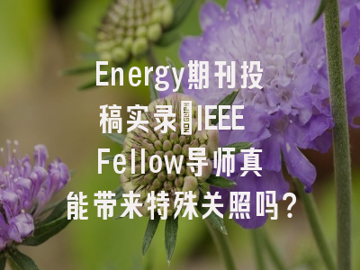 Energy期刊投稿实录：IEEE Fellow导师真能带来特殊关照吗？