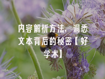 内容解析方法，洞悉文本背后的秘密【好学术】