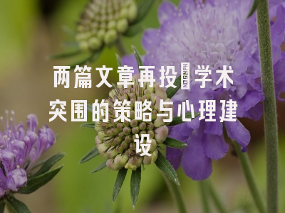 两篇文章再投：学术突围的策略与心理建设