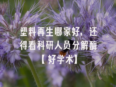 塑料再生哪家好，还得看科研人员分解酶【好学术】