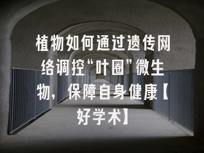 植物如何通过遗传网络调控“叶圈”微生物，保障自身健康【好学术】