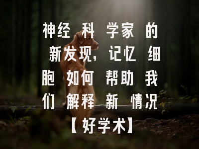 神经 科 学家 的 新发现，记忆 细胞 如何 帮助 我们 解释 新 情况【好学术】
