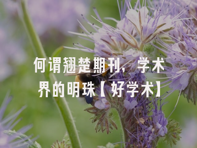 何谓翘楚期刊，学术界的明珠【好学术】