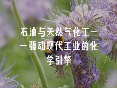 石油与天然气化工——驱动现代工业的化学引擎