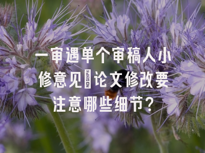 一审遇单个审稿人小修意见_论文修改要注意哪些细节？