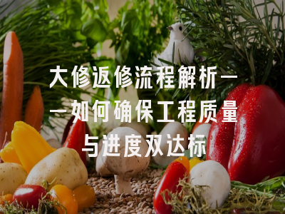 大修返修流程解析——如何确保工程质量与进度双达标